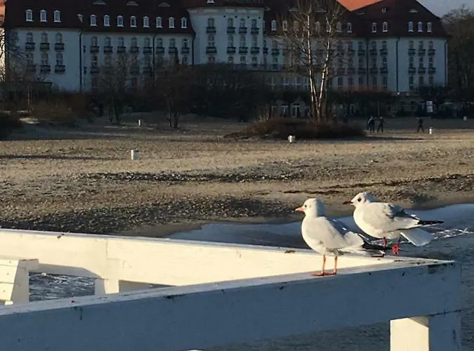 公寓 Forest - Parking - Aquapark *