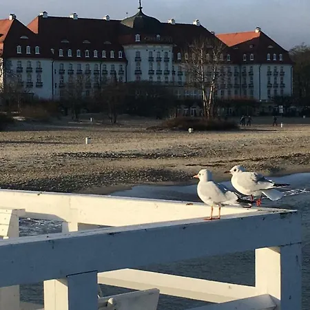 Апартаменты Forest - Parking - Aquapark *