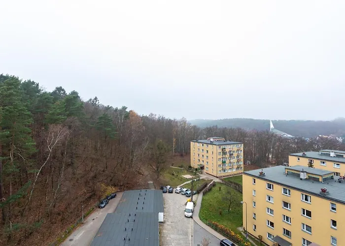 Forest - Parking - Aquapark *